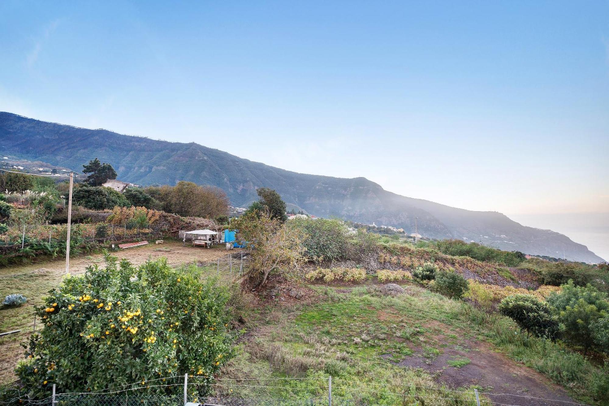 Casita Rural La Pinera Villa Los Realejos Kültér fotó